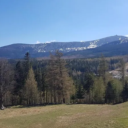 Kado * カルパッチ