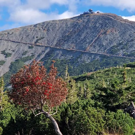 Kado * カルパッチ